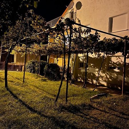 Entire Spacious Apartment With Free Parking Podgorica Exterior foto